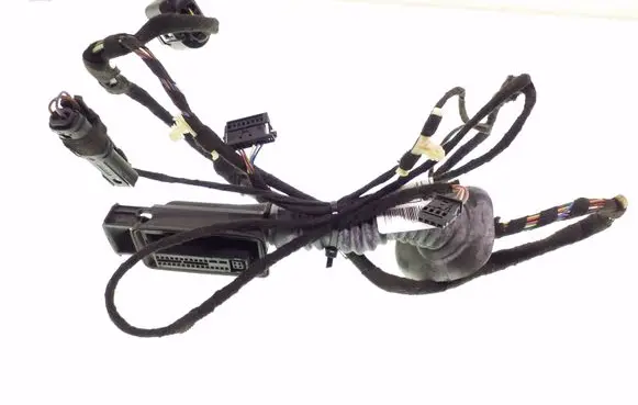 BMW 1 F20 F21 Rear door wiring loom 925172404