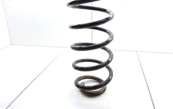 Rear coil spring
