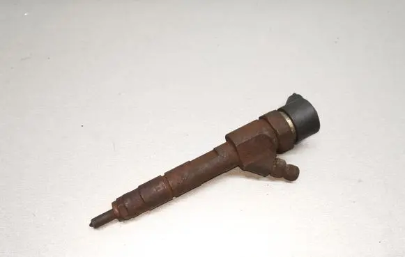 Renault Scenic I Fuel injector 0445110110B 8200100272