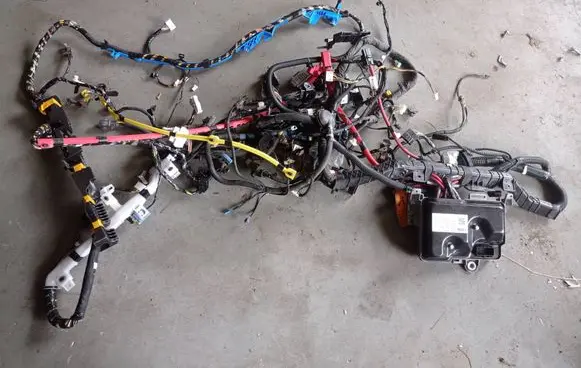 Tesla Model Y Other wiring loom P248905801C P248905801 149732700B