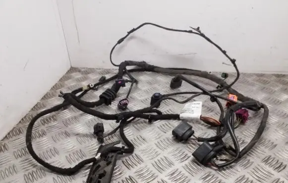 Audi A6 S6 C6 4F Other wiring loom 4F2971271AN