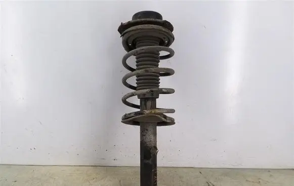 Peugeot 206 Front shock absorber with coil spring