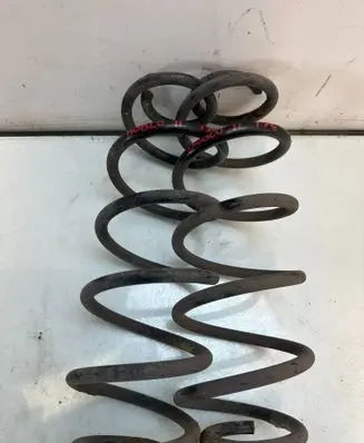 Rear coil spring