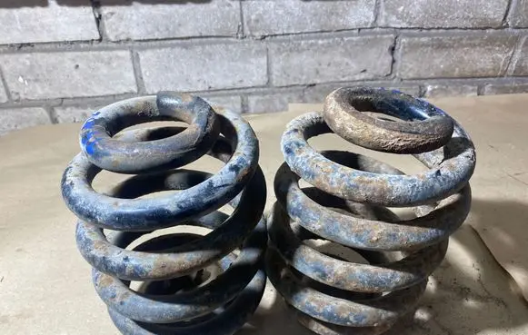 Rear coil spring