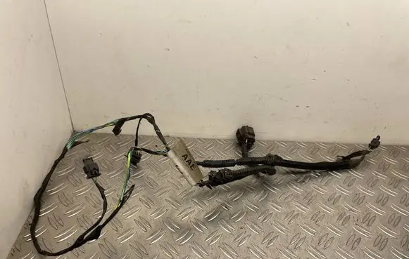 Ford C-MAX II Parking sensor (PDC) wiring loom AV6T15K868AAE