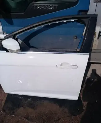 Ford Focus Front door 010