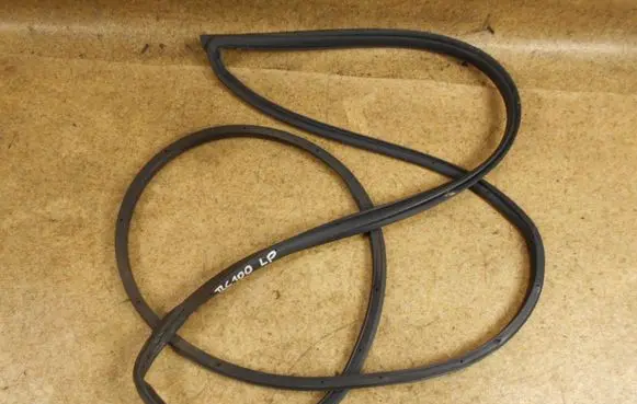 Toyota Land Cruiser (J100) Front door rubber seal 