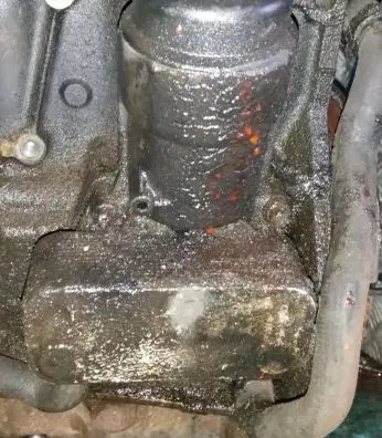 Opel Vectra B Oil filter cover 
