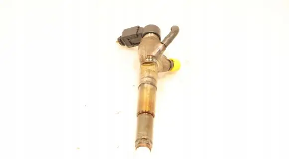 Renault Megane III Fuel injector H8200704191