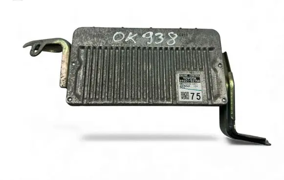 Engine control unit/module ECU