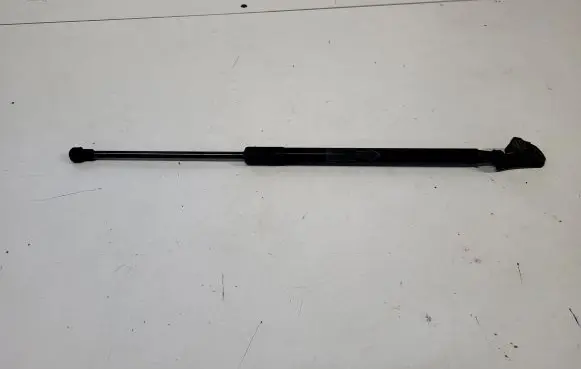 Toyota Verso Tailgate/trunk strut/damper 689500F031