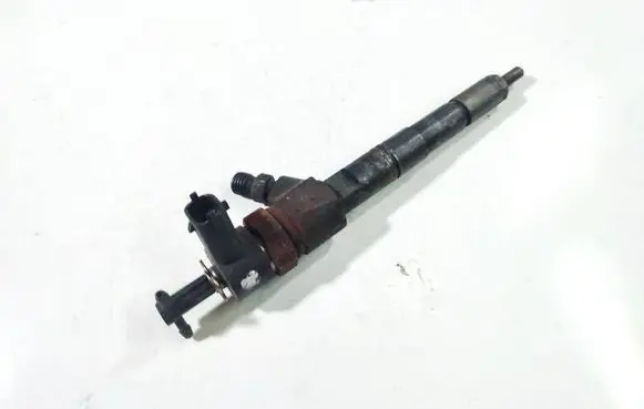 Citroen Berlingo Fuel injector 0445110 0445110076