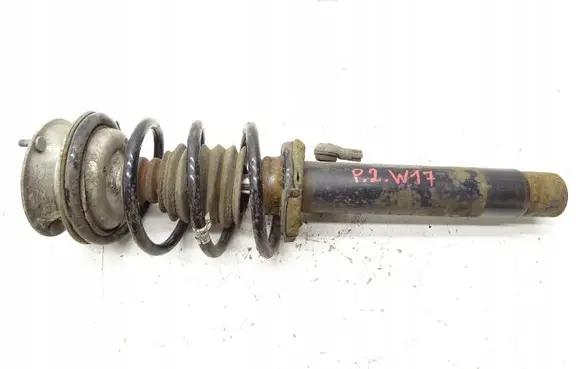 BMW X1 E84 Front shock absorber/damper 6789854