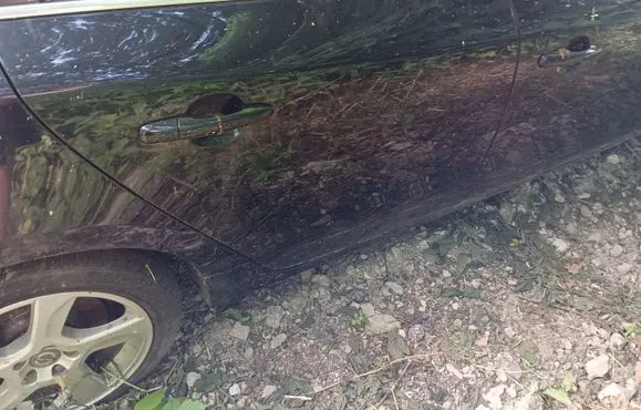 Volvo V60 Rear door 