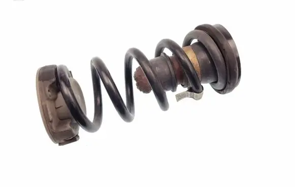 Chrysler Pacifica Rear coil spring P68231026AA 68231026AA 68231983AB