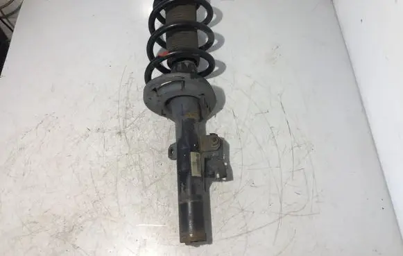 Ford Transit Custom Front shock absorber with coil spring FK2118045AA