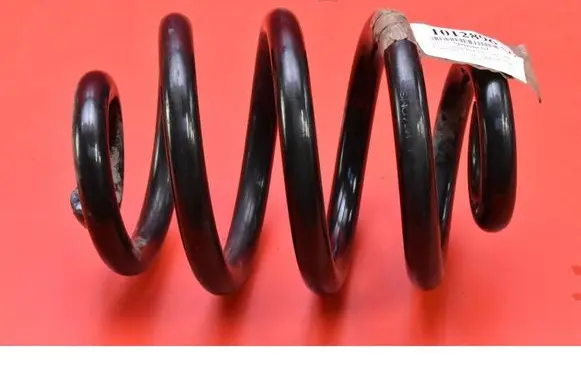 Rear coil spring