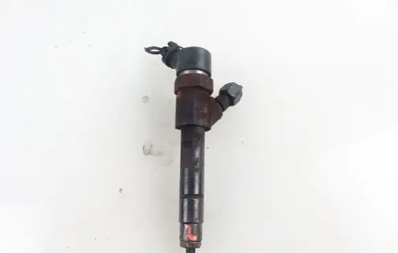 Renault Scenic I Fuel injector 7700111014 0445110021