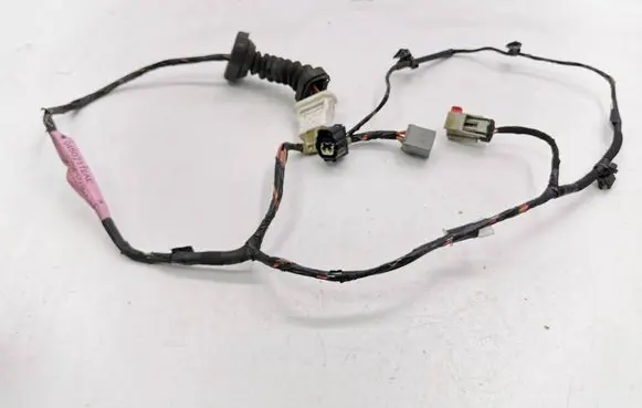Rear door wiring loom