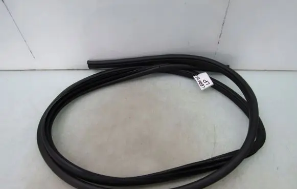 Nissan Leaf II (ZE1) Front door rubber seal 