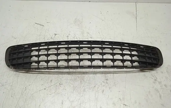 Mini Cooper Countryman R60 Front bumper lower grill 11460913