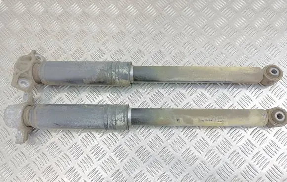 Opel Zafira C Rear shock absorber/damper 134119903