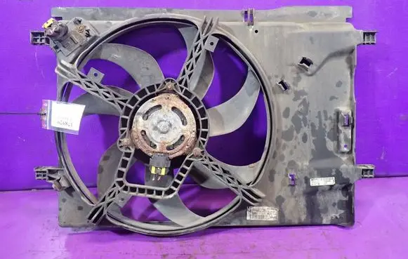 Fiat Punto (199) Fan set 