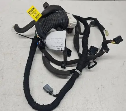Opel Antara Front door wiring loom 95161822