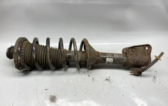 Land Rover Freelander Rear shock absorber with coil spring 