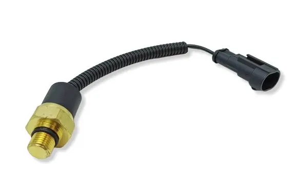 Aixam Minauto Coolant temperature sensor 110BF075
