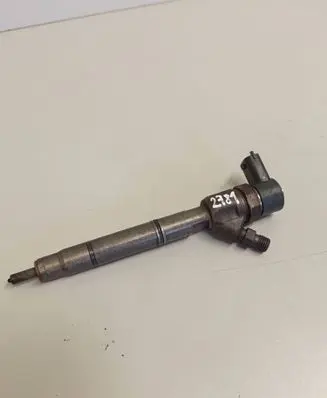 Hyundai i30 Fuel injector 0445110256 338002A400