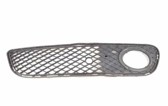 Mercedes-Benz SLK R171 Front bumper lower grill A1718851123