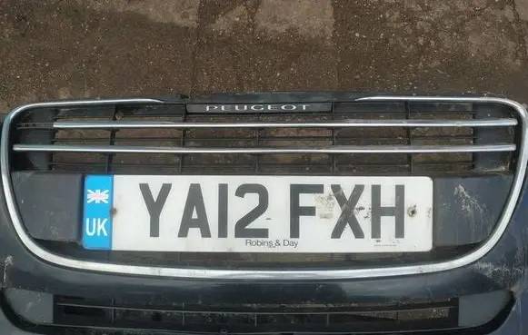 Peugeot 508 Front grill