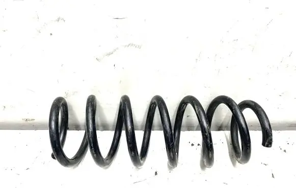 Front coil spring