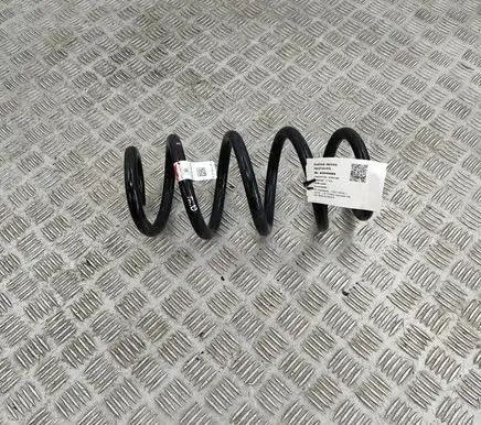 Tesla Model 3 Rear coil spring 104447291E