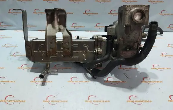 Chevrolet Captiva EGR valve cooler 25185316