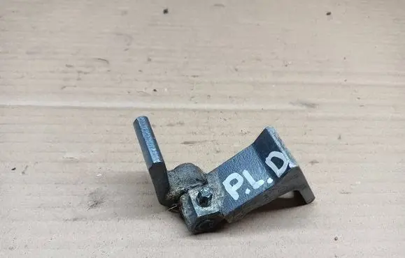 Volkswagen Golf Sportsvan Front door lower hinge 
