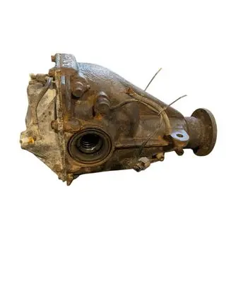 Mitsubishi Pajero Rear differential