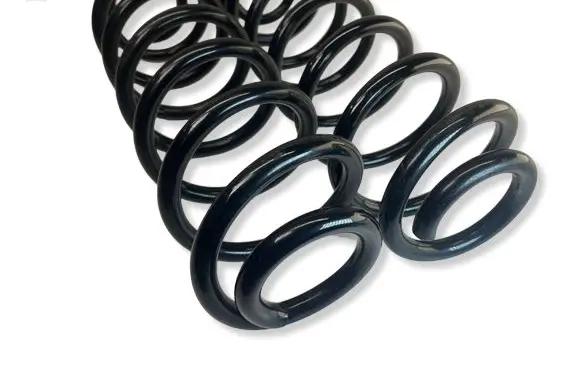 Volkswagen PASSAT B6 Rear coil spring 