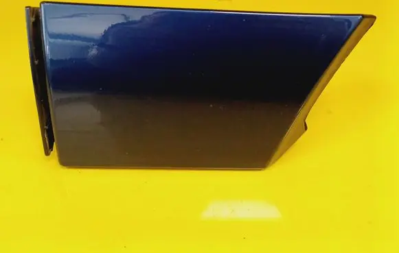 Rear/tail light trim molding