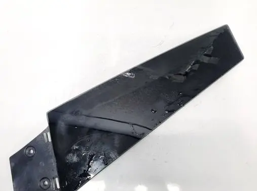 Tesla Model S Other front door trim element F14941