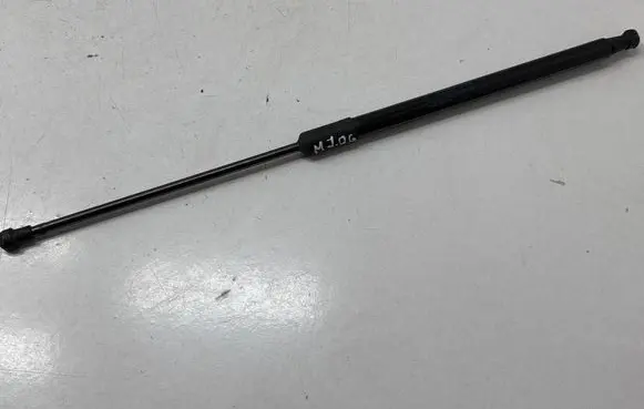 Tailgate/trunk strut/damper