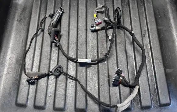 Front door wiring loom