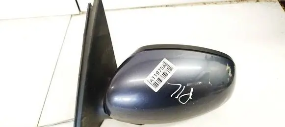 Skoda Roomster (5J) Front door electric wing mirror E902034366