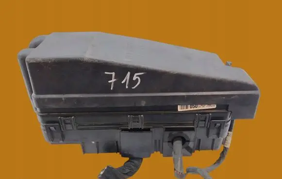 KIA Carnival Fuse box set 919504D050