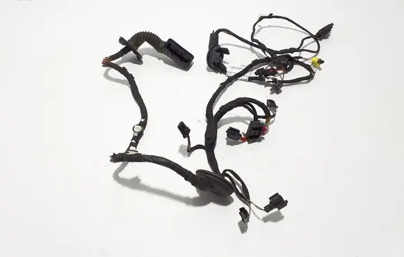 Other wiring loom