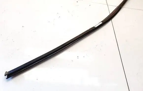 Peugeot 406 Front door glass trim molding 