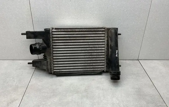 Nissan Juke I F15 Intercooler radiator 144613ZU0B