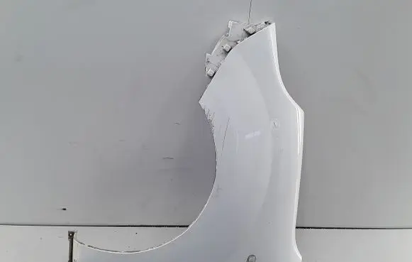 Renault Kangoo II Fender