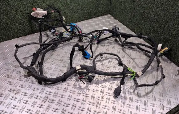 Citroen C4 Cactus Other wiring loom 9824305380 96FD098180 13320189